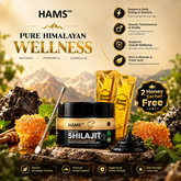 Pure Himalayan Shilajit Resin 30g with 2 FREE VIP Royal Honey Sachets – Premium resin bundle for a daily wellness routine.