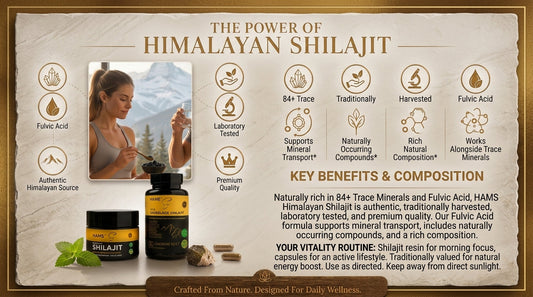 Himalayan Shilajit 
