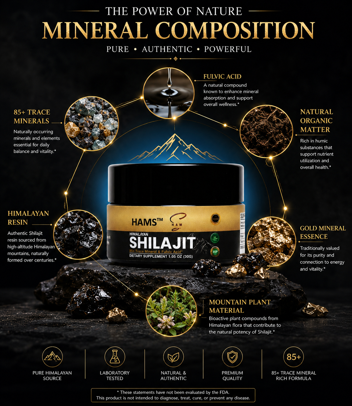 Himalayan Shilajit Resin for Daily Energy Support – Traditional Natural Wellness Ingredient for Active Adults