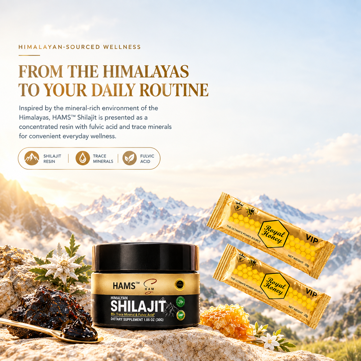 Himalayan Shilajit Resin for Traditional Wellness Routines – Mumijo resin in a convenient container with label-directed use.