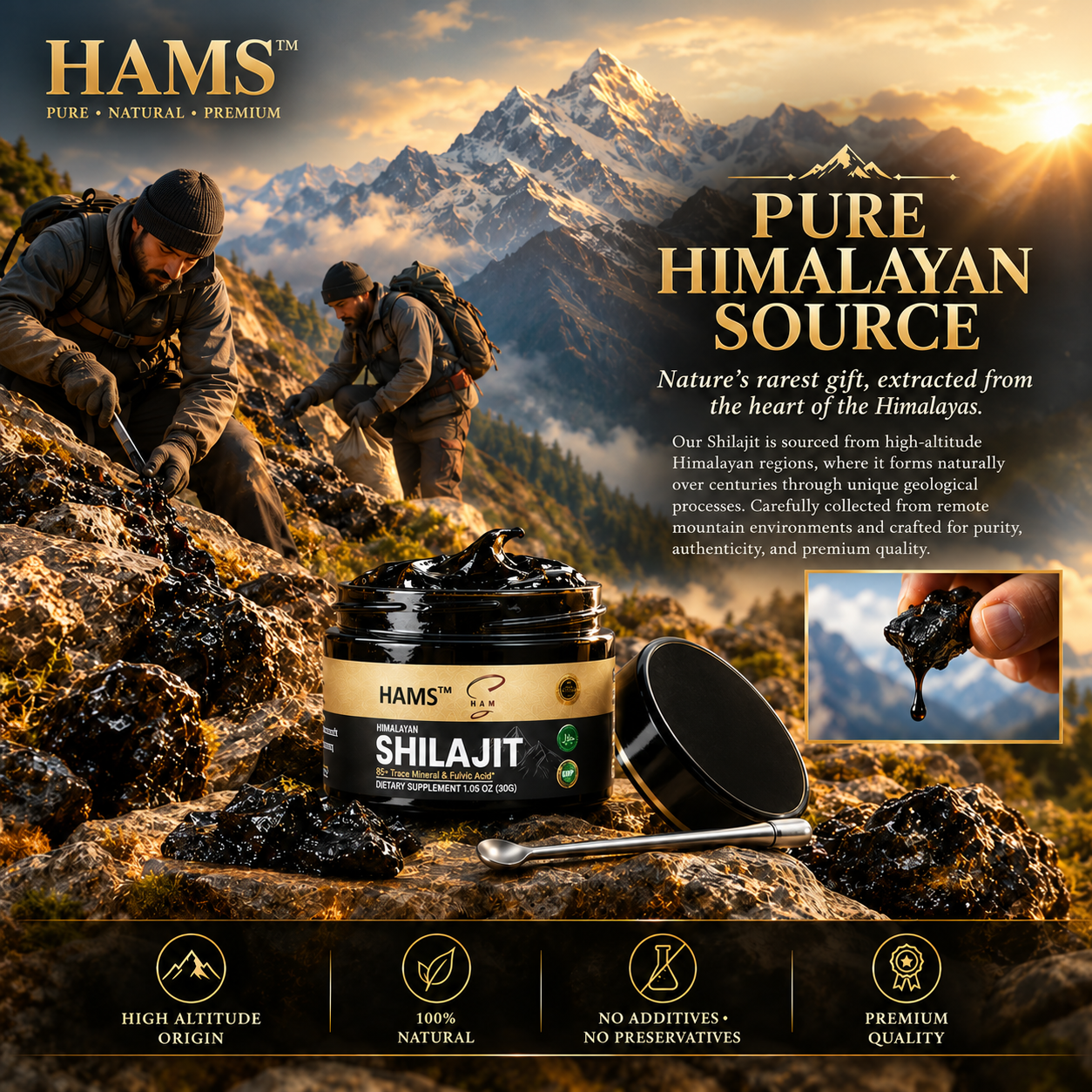 30g Himalayan Shilajit Resin with Complimentary Honey Sachets – Combined product offer featuring Shilajit resin and two VIP Royal Honey sachets.