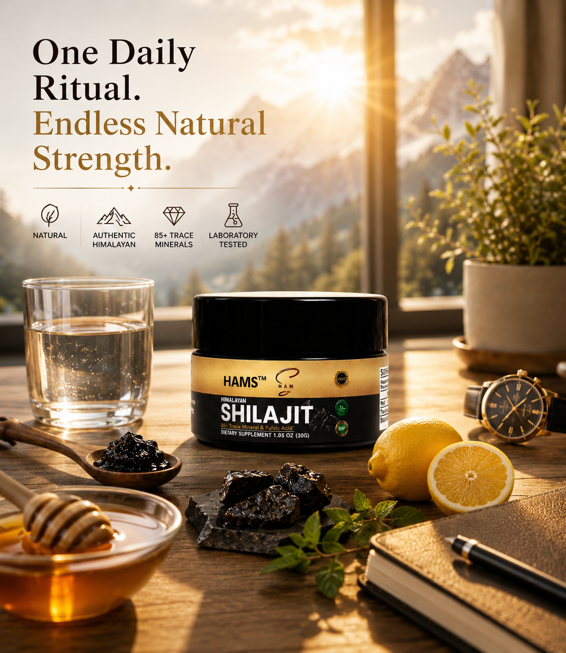 Pure Shilajit Resin with Fulvic Acid – Traditional Wellness Product for a Consistent Daily Routine